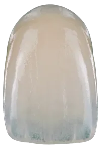 E-max — рендер